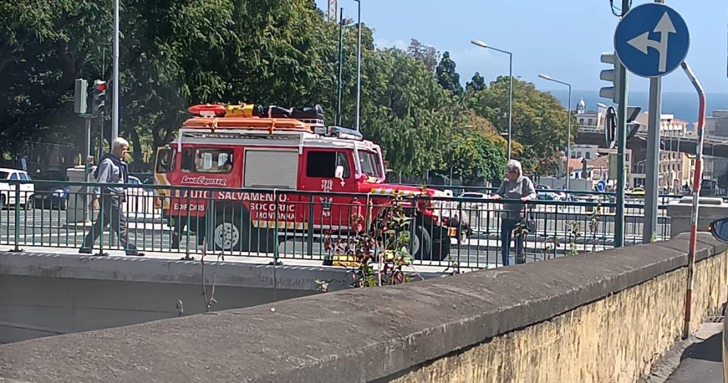 Bombeiros Voluntários Madeirenses em manobras de resgate na Ribeira Santa Luzia