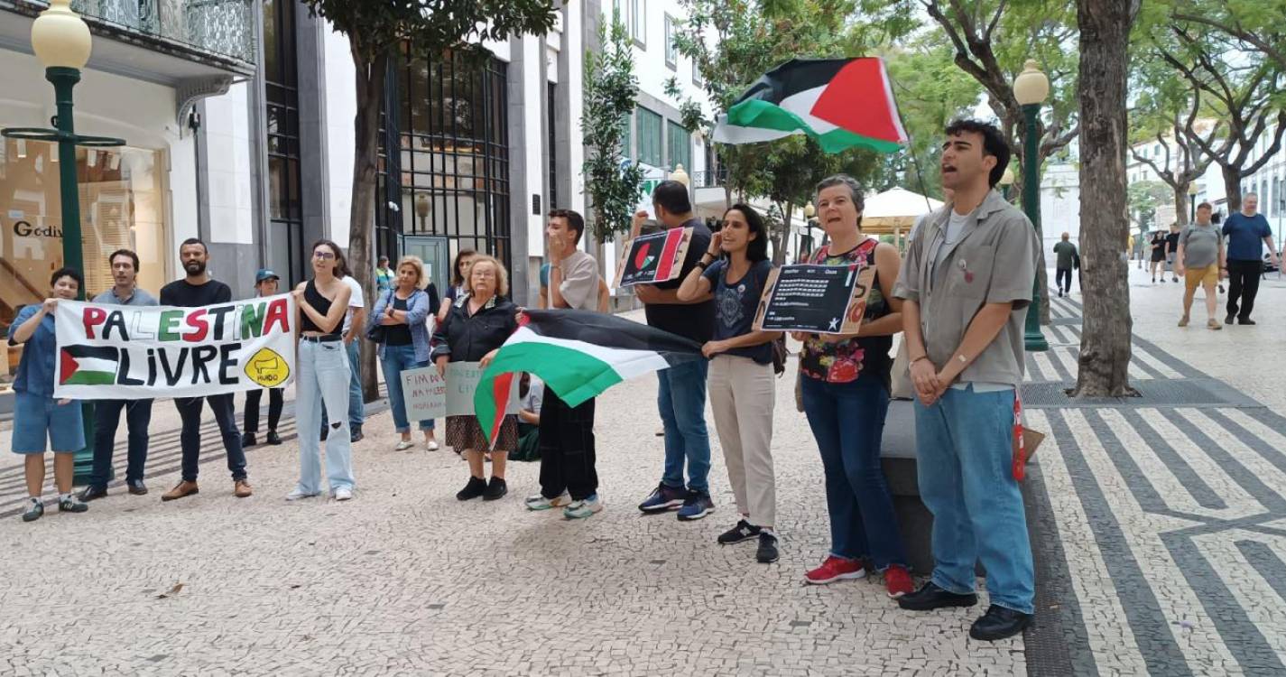 Pomba da paz em solidariedade com o povo palestiniano