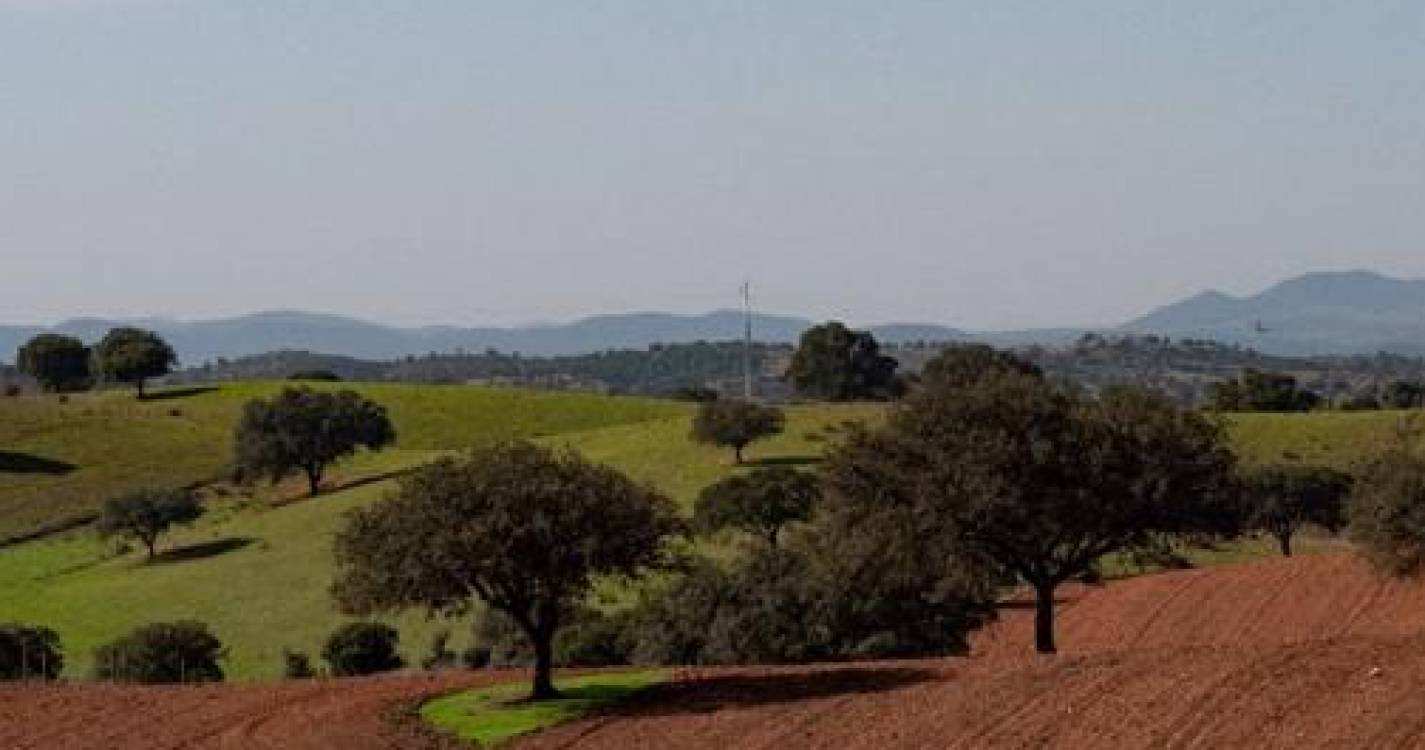 Seca meteorológica terminou em algumas regiões de Portugal continental em outubro