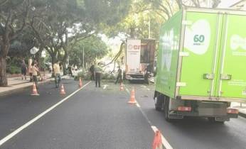 Queda de ramos de árvore condiciona trânsito na Avenida do Infante