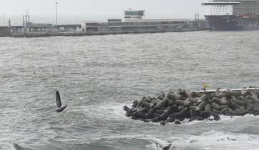 Capitania do Porto do Funchal atualiza avisos de vento e agitação marítima forte