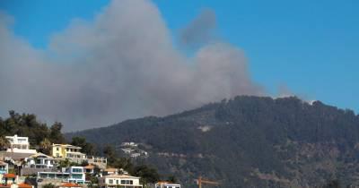 Incêndios: RIR alerta para urgência em “legislar o lançamento de materiais pirotécnicos”