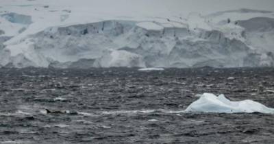 Um Ártico sem gelo, como os cientistas alertaram durante décadas, poderá afetar significativamente o ecossistema e o clima da Terra, alterando os padrões climáticos.