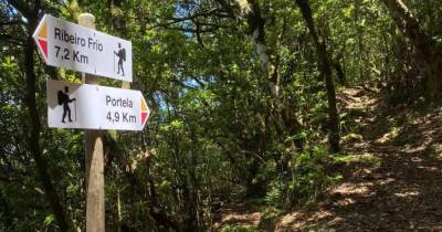 São Roque do Faial promove recolha de lixo entre o Ribeiro Frio e os Balcões