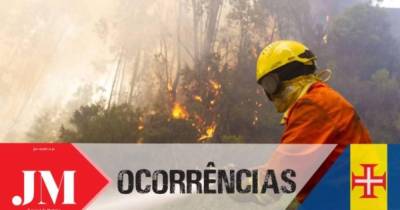 Fogo em mato no Ribeiro Serrão mobiliza bombeiros