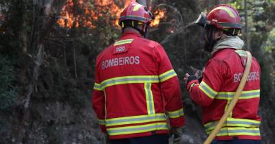 Incêndios: Época mais crítica termina hoje marcada pelos fogos que mataram 9 pessoas