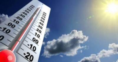 Aumento de 5,4 graus na temperatura global pode provocar extinção de quase um terço das espécies