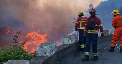 Sindicato disponibiliza equipa para apoiar autarquias e Governo Regional na recuperação após os incêndios