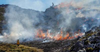 Alterações climáticas aumentam número de mortes por fumo gerado por incêndios, revela estudo