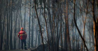 Incêndios: Fogo de Albergaria atingiu 20 casas e deixou vários desalojados