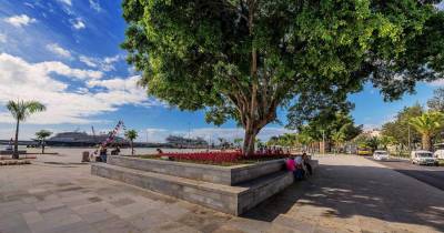 Taxa turística começa hoje a ser aplicada pela Câmara do Funchal.