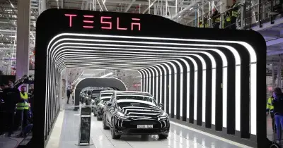 Vendas de veículos Tesla na UE caíram 50,3% em janeiro.