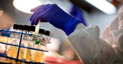 Investigadores do IPO do Porto criam protótipo de vacina para tratamento do cancro