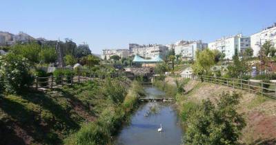 Estudo revela que ribeiras urbanas estão poluídas por fármacos