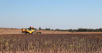 Os setores agrícolas afetados pela seca vão ter acesso a um apoio de emergência.