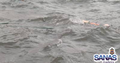 Embarcação de pesca submersa em Santa Cruz ativa SANAS