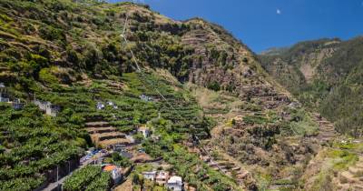 Chama-se Fajã. Apenas Fajã. E fica numa das encostas da Ribeira dos Socorridos.