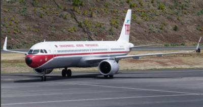 Hamsters à solta no porão deixam avião da TAP retido na Ponta Delgada