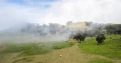 Criança ferida no Fanal depois de pneu passar por cima do pé.