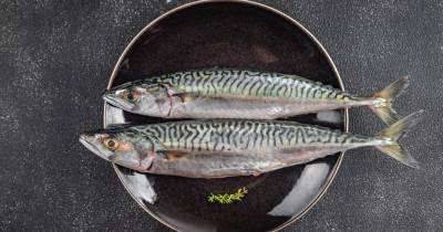 Vão ser apresentados resultados de um estudo sobre o contributo do pescado numa alimentação saudável.