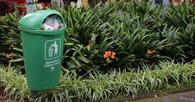 Os Bombeiros Voluntários Madeirenses foram acionados durante a madrugada.