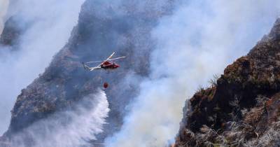 CDS recomenda à República que financie meios aéreos de combate a incêndios na Madeira