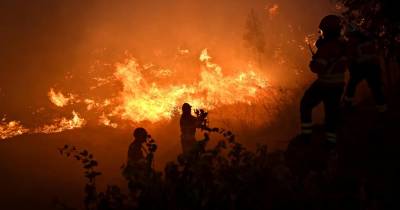 Incêndios: Comissão Europeia diz que Portugal estava melhor preparado este verão