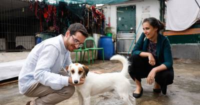 Francisco Paupério não quis esquecer os animais e reservou o último dia para destacar esse tema.