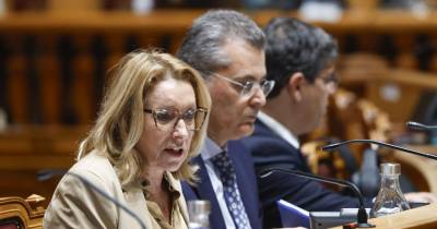 A ministra do Trabalho, Solidariedade e Segurança Social, Maria do Rosário Palma Ramalho, na Assembleia da República.