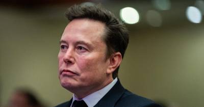 Musk (na foto) e Ramaswamy ficarão à frente do novo Departamento de Eficiência Governamental.