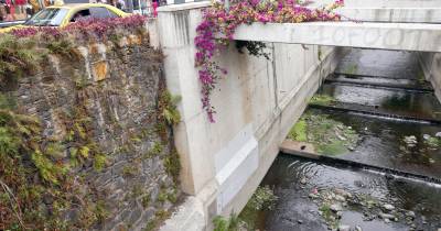 Houve várias críticas à obra de requalificação na Ribeira de Santa Luzia, a maior parte pela escrita do engenheiro Danilo Matos.