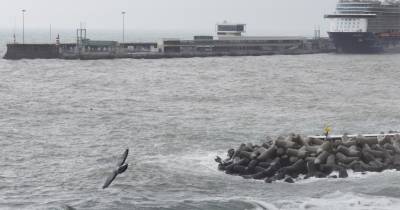 Em comunicado, a Proteção Civil refere que, “associado à depressão que tem condicionado o estado do tempo no arquipélago da Madeira, prevê-se a continuação de períodos de chuva ou aguaceiros por vezes fortes, acompanhados de trovoada, em especial entre o fim da tarde do dia 15 [sexta-feira] e o início da manhã do dia 16 [sábado]”.