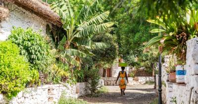 Cabo Verde cria empresa de logística e distribição de produtos agrários