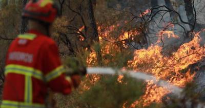 Vítimas de fogos de setembro no continente podem candidatar-se a apoios à habitação até final do ano