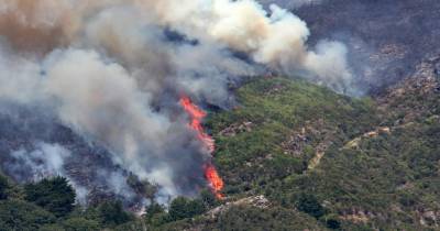 O incêndio que teve origem na Serra de Água, concelho da Ribeira Brava na quarta feira pela manhã.