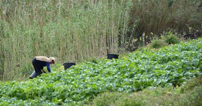 A Superfície Agrícola Utilizada aumentou face a 2022.