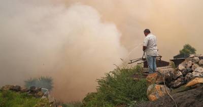 Madeira mantêm-se sob aviso amarelo de calor e em perigo de incêndio.