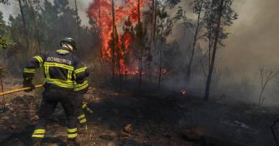 O fogo que deflagrou às 02:17 de domingo estava a ser combatido por 322 operacionais.