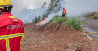 Incêndios: Autarcas madeirenses preocupados com vento e temperaturas que dificultam combate