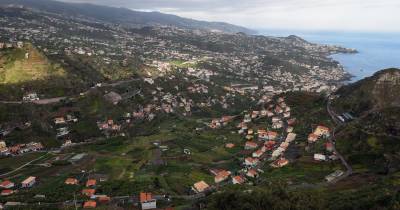 Eucalipto tombado na estrada no Cabo Girão mobiliza bombeiros.