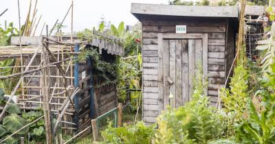 Esta iniciativa é promovida pela Divisão de Jardins e Espaços Verdes Urbanos, integrada no Departamento de Espaços Verdes e Ação Climática.