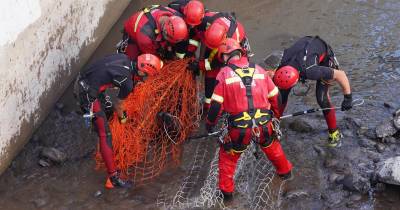 Bombeiros Voluntários Madeirenses em resgate de cães na ribeira de Santa Luzia.