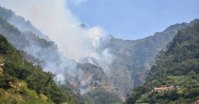 Incêndios/Madeira: Foco “mais preocupante” continua a ser no Curral das Freiras