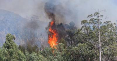 De acordo com os cálculos do IPMA, o perigo de incêndio vai manter-se elevado em alguns distritos pelo menos até domingo.