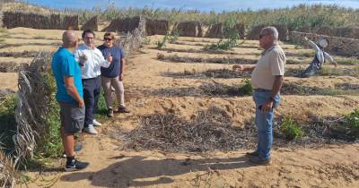 Agricultura mantém apoio aos agricultores do Porto Santo