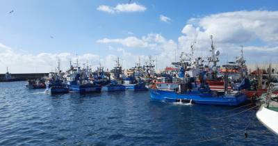 Barcos de pesca de atum aportados no Caniçal.
