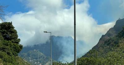 Florestas reforçam vigilância e deixam recomendações para evitar incêndios