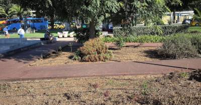 Raimundo Quintal mostra estado dos jardins da Praça do Povo: “Dói-me a alma!”