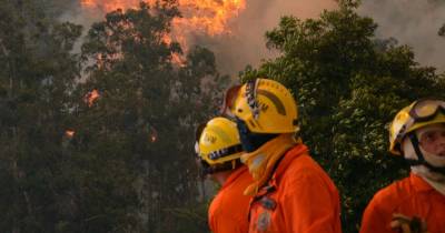 Incêndios: Número de fogos rurais é o mais reduzido desde 2014