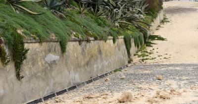 Localizado corpo de homem que caiu de ravina no Porto Santo.